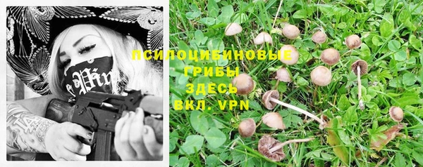 spice Волосово