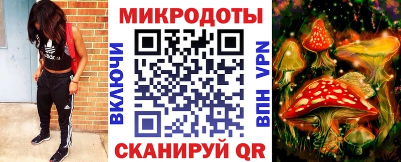 Псилоцибиновые грибы мицелий  Хабаровск 